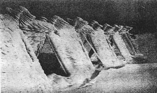 Kopie