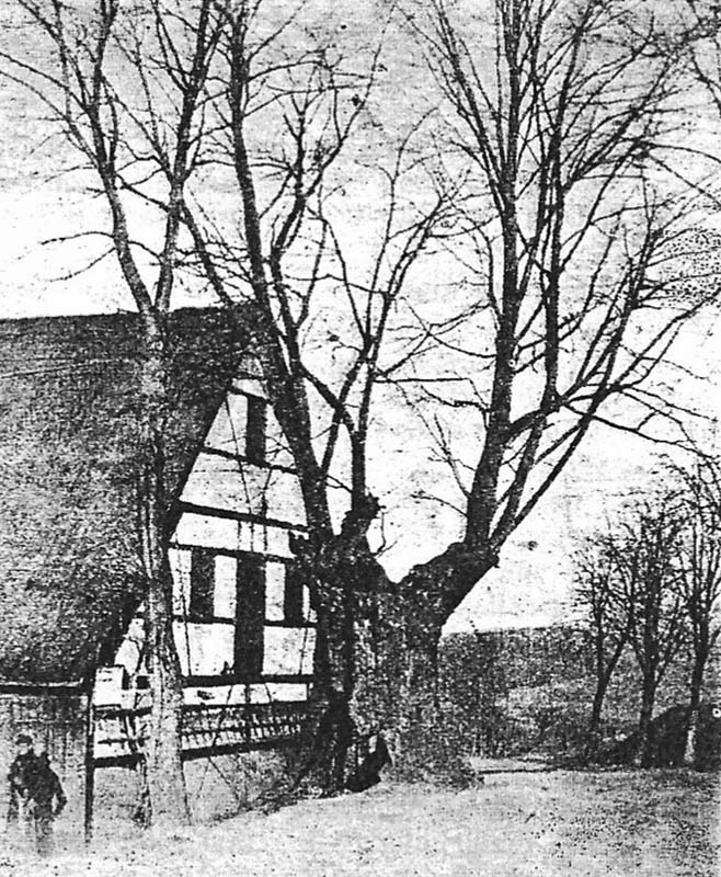Kopie